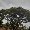 금반농장 이미지