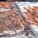 거성냉장 이미지