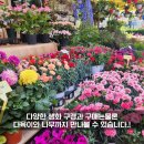 송미화원 이미지