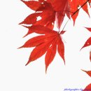 원천마을 이미지