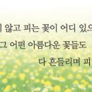 광화문 글판 이미지