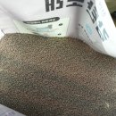 코코캣 | [모래] 고양이 벤토모래 추천 코코캣 감탄모래 벤토나이트