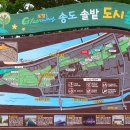 구항환경산업 | 포항 송도 솥밭 도시숲길을 걷다!