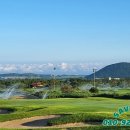 (주)세이브카 네이버블로그