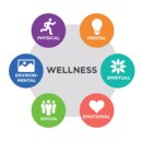 Wellness(건강한 삶)은 건강의 핵심이다 | 2026년을 지배할 마케팅 트렌드, '웰니스'!