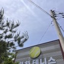 운정테니스 입문 추천 운정실내테니스장 하하테니스 원데이클래스 후기 야당테니스 레슨까지 만족