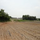 여주-1121 이미지