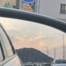 퍼시픽마리나 이미지