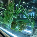 카페보스(평택안중점) | 평택 안중 맛집 [직화대첩 안중점] 후기