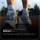 용인대 흑룡합기도 이미지