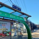 박동명 묘소 Daum카페