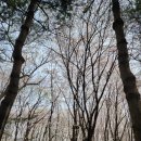 서곶근린공원 축구장 이미지