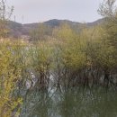 고복자연공원 갈대습지원 이미지