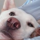 므므스튜디오 이미지