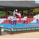 미르메 | 2025 서울시 태권도 상설공연, 가족과 함께 즐긴 주말 나들이 후기~