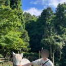 장양농장 이미지