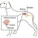한빛동물병원 이미지