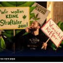 독일: 수천 명이 베를린에서 새로운 대마초 법을 축하합니다. 이미지