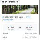 알프스밸리캠핑나라 이미지