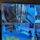 옐레드 시흥은계호수점 이미지