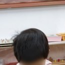 루소의숲유치원 이미지