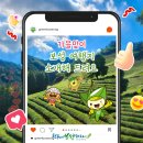 예성오가닉 영농조합법인 | 가을맞이 보성 여행지 소개해 드려요!