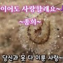 대구 수성못 축제 이미지