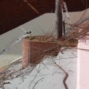 동평여자중학교 이미지