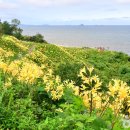 부안오토 이미지