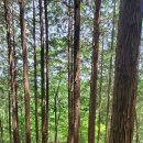 수청리농장 이미지