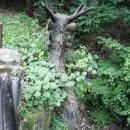 횡성한우마을 이미지