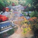 도산서원길(도산면) 이미지