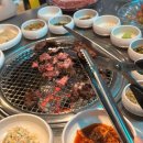 현준농장2 | 낭만적 여행과 그 후의 일상들