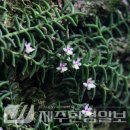 한라전설(주) 이미지