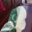 예향수산 이미지