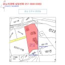 판문동4 이미지