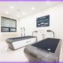 로얄패밀리 이미지