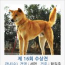 진도개영농조합 이미지