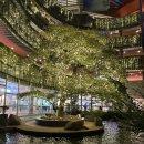 돈돈 | 일본 후쿠오카 하카타 야키니쿠 맛집 [돈돈] 내돈내산 후기