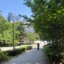 명달근린공원 이미지