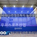 회암초등학교 이미지