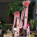 복주골오리한상 | 관엽식물 꽃배달 후기
