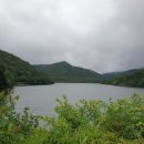 피자버스 이미지