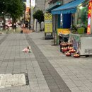 주식회사 패투헤븐 | 일상기록(너무 덥다)