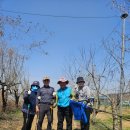 김씨농장 이미지