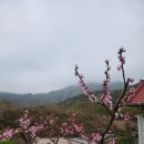 천반산민박 이미지