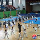 영웅태권도체육관