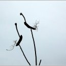 솟대 - 강남구 압구정로 334 | 솟대