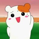 어두컴컴 Daum카페