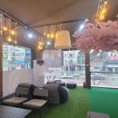 안경백화점 터미널점 이미지